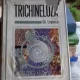 TRICHINELOZA - GH. LUPASCU