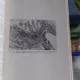 TRICHINELOZA - GH. LUPASCU