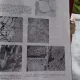 ELABORAREA SI TURNAREA ALIAJELOR NEFEROASE SPECIALE - MOISE ENCIU