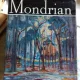 MONDRIAN - VICTOR IERONIM STOICHITA