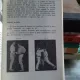 KARATE - NICOLAE BUCUR