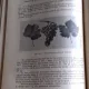 STUDIUL INSUSIRILOR TEHNOLOGICE ALE SOIURILOR DE VITA RODITOARE - GHERASIM CONSTANTINESCU