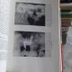 HIPERTENSIUNEA ARTERIALA SECUNDARA - CONSTANTIN I. NEGOITA