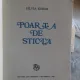 POARTA DE STICLA - SILVIA KERIM