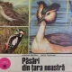 PASARI DIN TARA NOASTRA , TEXT DE MATEI TALPEANU , GRAFICA DE NICOLAE SAFTOIU , 1978