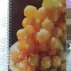 I DESSERT DI FRUTTA - AMANDA CAPEDER  (DESERTURI CU FRUCTE)
