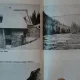 VALEA LOTRULUI DE GHEORGHE PLOAIE , 1983