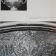 MUZEUL MANASTIRII PUTNA DE MARIA ANA MUSICESCU , 1967