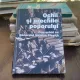 Ochii si urechile poporului - convorbiri cu generalul Nicolae Plesita