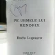 PE URMELE LUI HENDRIX , RADU LUPASCU