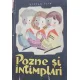 Pozne si intamplari - Stefan Tita / ilustratii de Lena Constante