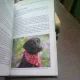 Your happy healthy pet. Labrador Retriever - Liz Palika  (Animalul tău sănătos fericit)