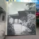 Casa Hagi Prodan Ploiesti