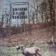 DIN FAUNA SI FLORA ROMANIEI - ION SIMIONESCU