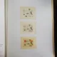 LIVRES ILLUSTRES /CATALOGUE RAISONNE - VICTOR BRAUNER