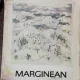 VIOREL MARGINEAN - PICTURA /GRAFICA