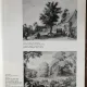 ART AT AUCTION - THE YEAR AT SOTHEBY PARKE BERNET 1975-1976