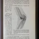 PRECIS DE PATHOLOGIE CHIRURGICALE -TOME VI - FRACTURES ET LUXATIONS AFFECTIONS ACQUISES ET CONGENITALES DES MEMBRES