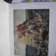 LE PEINTRES ILLUSTRES. BREUGHEL