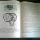 PATOLOGIE CHIRURGICALA VOL VII - TH.BURGHELE