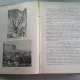 ANI. ANUAR DE CULTURA ARMEANA 1942-1943 - H. DJ. SIRUNI