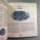 DUMNEZEU, IAHVE, ALLAH - KATIA MROWIEC