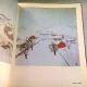 CONSTANTIN PILIUTA - ALBUM CONSTANTIN PRUT