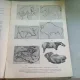 ARTA SI ANATOMIA - MIRCEA ATHANASIU