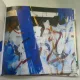 CORNELIU VASILESCU - NIRVANA II   CATALOG EXPOZITIE