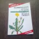 ALIMENTATIA SANATOASA CU PLANTE - MARIA TREBEN