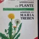 ALIMENTATIA SANATOASA CU PLANTE - MARIA TREBEN