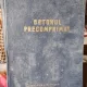 BETONUL PRECOMPRIMAT - V. NICOLAU