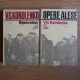 V. G. Korolenko - Opere alese (2 volume)