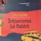 INTOARCEREA LUI RABBIT - JOHN UPDIKE