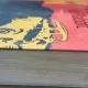 INTOARCEREA LUI RABBIT - JOHN UPDIKE