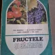 FRUCTELE SI SANATATEA - GHEORGHE BADESCU
