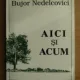 AICI SI ACUM - BUJOR NEDELCOVICI