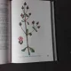 RESURSE MEDICINALE IN FLORA ROMANIEI - HONORIUS POPESCU