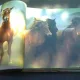 HORSES  CUBE BOOK  (CARTE ILUSTRATA, TEXT IN LIMBA ENGLEZA)