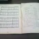 VAT DE VARA CALATOR. MUZICA CORALA PENTRU FORMATII CAMERALE - CAIET ALCATUIT DE NICOLAE CHITORAN