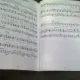 SUNT SCOLAR SI VREAU SA CANT - ALEXANDRU PLESCA LAPUSNEANU  (CANTECE PENTRU SCOLARI)