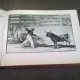 LA TAUROMAQUIA - FRANCISCO GOYA AND LUCIENTES   ALBUM