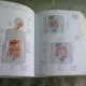 MERRIAM-WEBSTER'S 5-LANGUAGE VISUAL DICTIONARY - JEAN CLAUDE CORBEIL