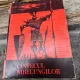 CANTECUL NIBELUNGILOR