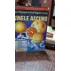 SINELE ASCUNS - MAYA PILKINGTON