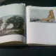 COROT - ANDREI PLESU   ALBUM