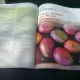 DISCOVERING NUTRITION - PAUL INSEL  (CARTE IN LIMBA ENGLEZA)