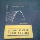APLICAREA ECUATIILOR CU DIFERENTE FINITE LA CALCULUL PLACILOR CURBE SUBTIRI - MIRCEA SOARE