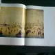 LA PEINTURE HOLLANDAISE DANS LES MUSEES DE L'UNION SOVIETIQUE