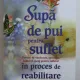 SUPA DE PUI PENTRU SUFLET - POVESTI DE VINDECARE , SPERANTA , IUBIRE SI CURAJ PENTRU SUFLETUL IN PROCES DE REABILITARE DE JACK CANFIELD ...PETER VEGSO , 2013